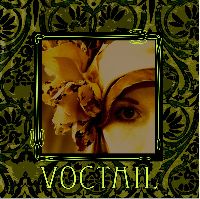 CD Booklet Voctail
